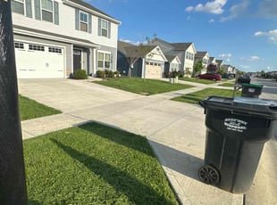 Patricia C.'s grass cutting service result