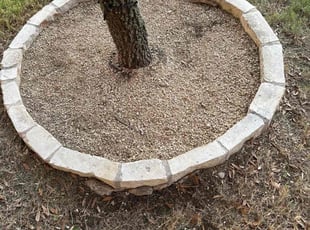 Andrew K.'s grass maintenance service result