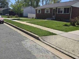 Barbara G.'s lawn maintenance service result
