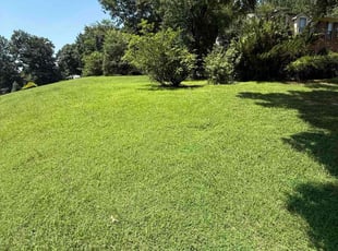 Eric H.'s lawn care services service result