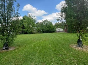 Bently B.'s turf maintenance service result