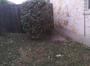 Bobby M.'s Bush Trimming service result