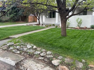 Madison F.'s lawn maintenance service result