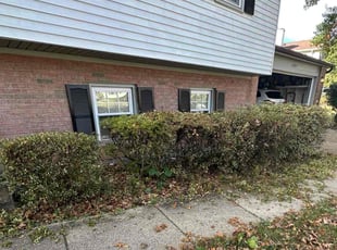 Sara D.'s Bush Trimming service result