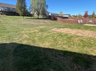 Bendu N.'s lawn care services service result