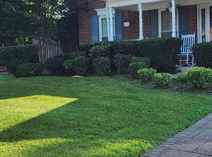Craig A.'s Bush Trimming service result