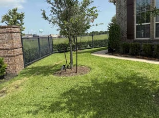 Angelique A.'s lawn maintenance service result