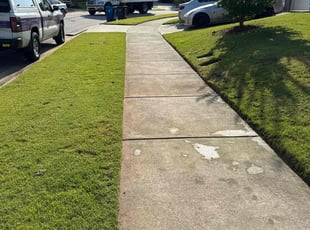 Erika S.'s grass cutting service result