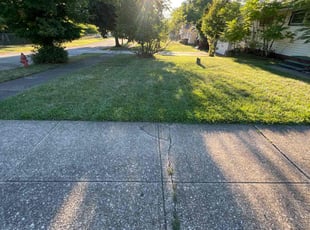 Spencer P.'s turf care service result