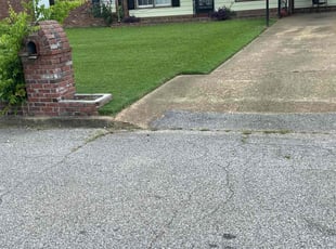 Tamara H.'s turf care service result