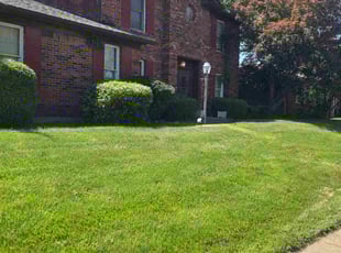 Carmen S.'s Bush Trimming service result