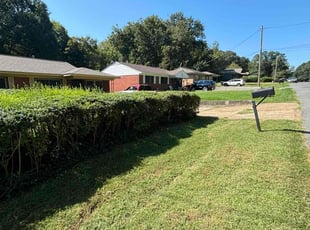 Sabrina C.'s Bush Trimming service result