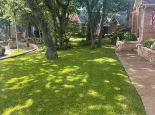 Ann D.'s lawn care services service result