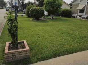 Kristyn D.'s grass cutting service result