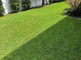 Stephen B.'s lawn care services service result