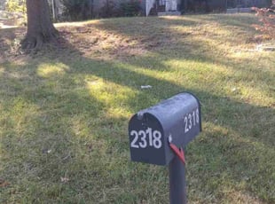 Warren B.'s lawn care service result