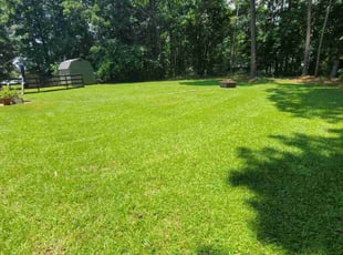 Maria H.'s turf maintenance service result