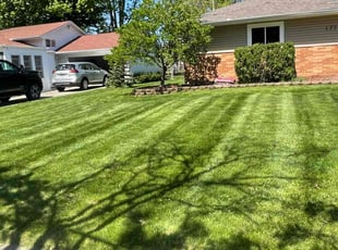 Katherine W.'s Leaf Removal service result