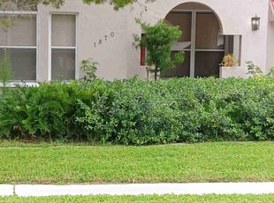 Arlisa C.'s lawn care service result