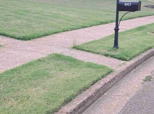 Allison B.'s lawn maintenance service result