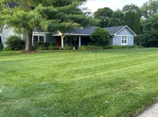 Chris P.'s lawn care service result