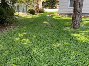 Lama M.'s grass maintenance service result
