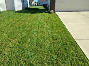Cole M.'s grass cutting service result