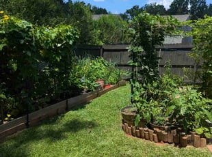 Whitney B.'s lawn maintenance service result