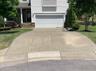 Alexander F.'s lawn service service result