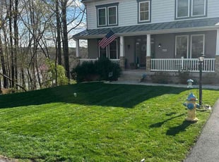 Stephen R.'s yard care service result