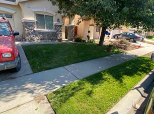 Travis E.'s grass maintenance service result