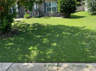 Annie B.'s turf care service result