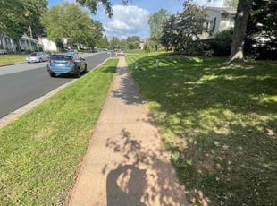 Theresa N.'s yard service service result