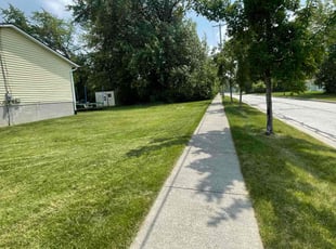 Deanna H.'s grass maintenance service result