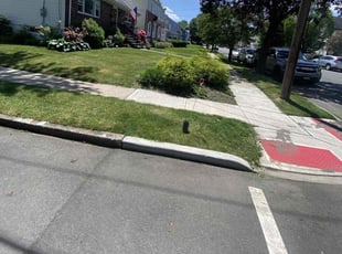 Greg G.'s grass maintenance service result