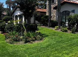 Hosea P.'s lawn service service result