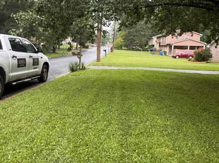Serita W.'s lawn service service result