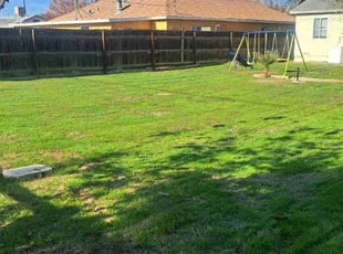 Jamie G.'s grass cutting service result