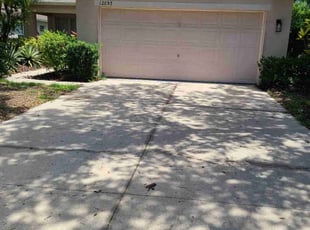 Thaddius H.'s grass maintenance service result