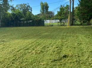 Stacy O.'s turf maintenance service result