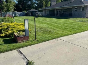 Julie W.'s turf maintenance service result