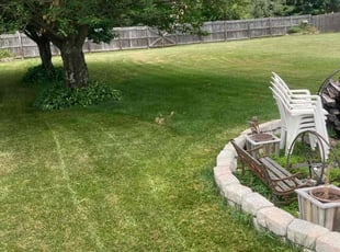 Eric H.'s turf care service result