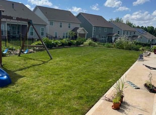 Danielle E.'s lawn service service result