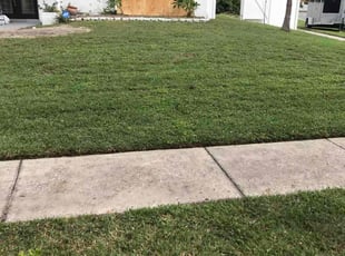 Mary C.'s lawn maintenance service result