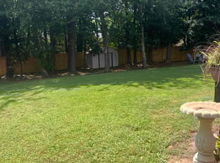 Dana K.'s grass cutting service result