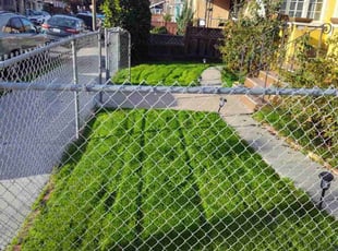 Karthik G.'s lawn care service result