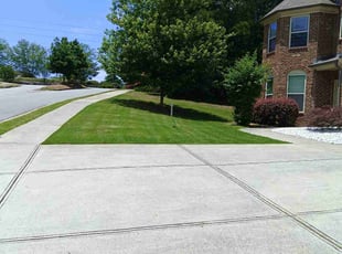 Courtney C.'s turf care service result