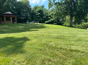 Renecia T.'s grass maintenance service result