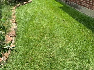 Chenedria W.'s lawn maintenance service result