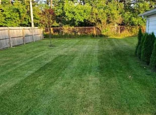 Andrea B.'s lawn care service result